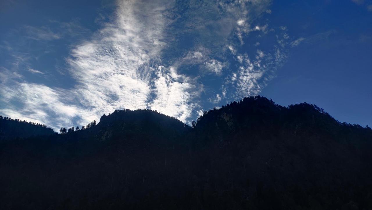 Snow View Guest House Kasol Exterior foto