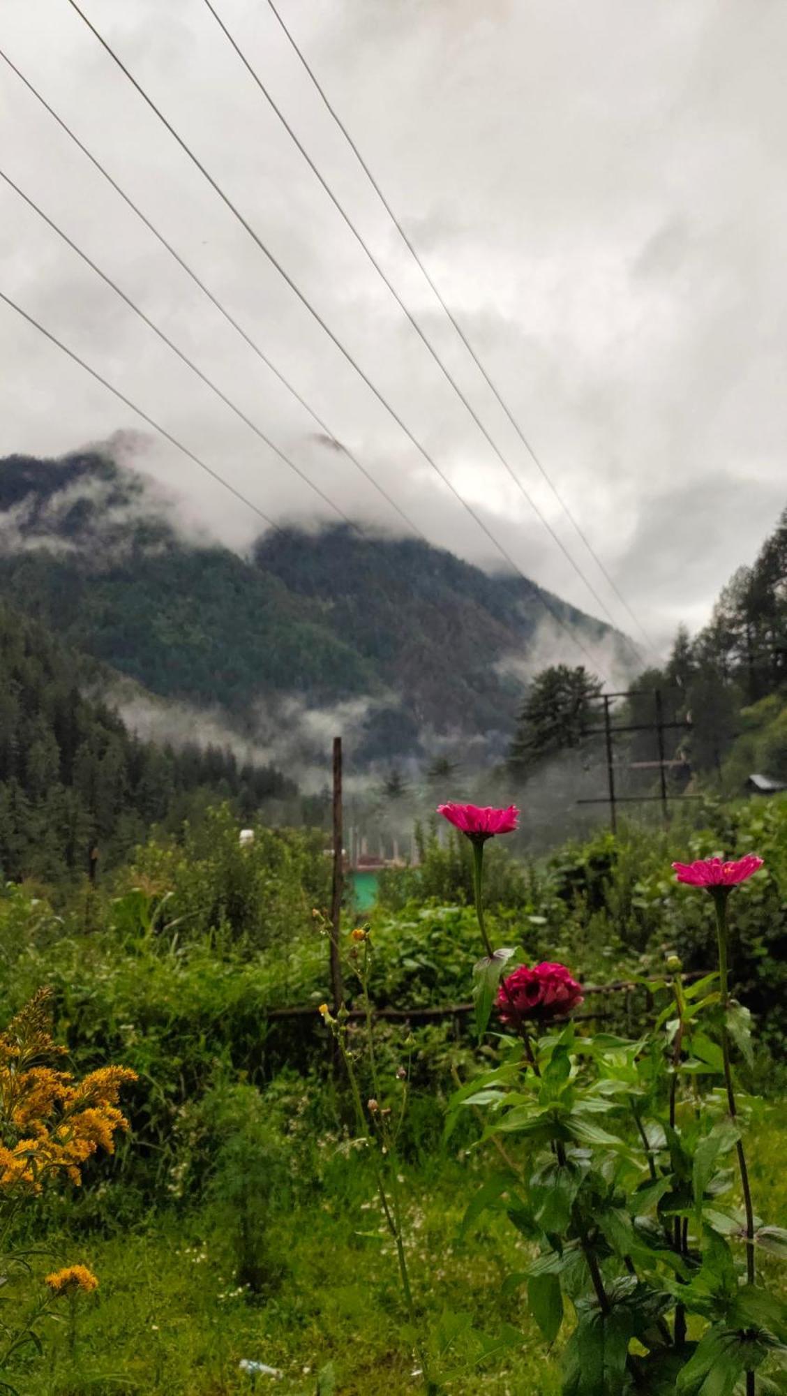 Snow View Guest House Kasol Zimmer foto